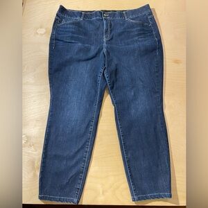 Lane Bryant Skinny Jeans Size 24 R (KW)